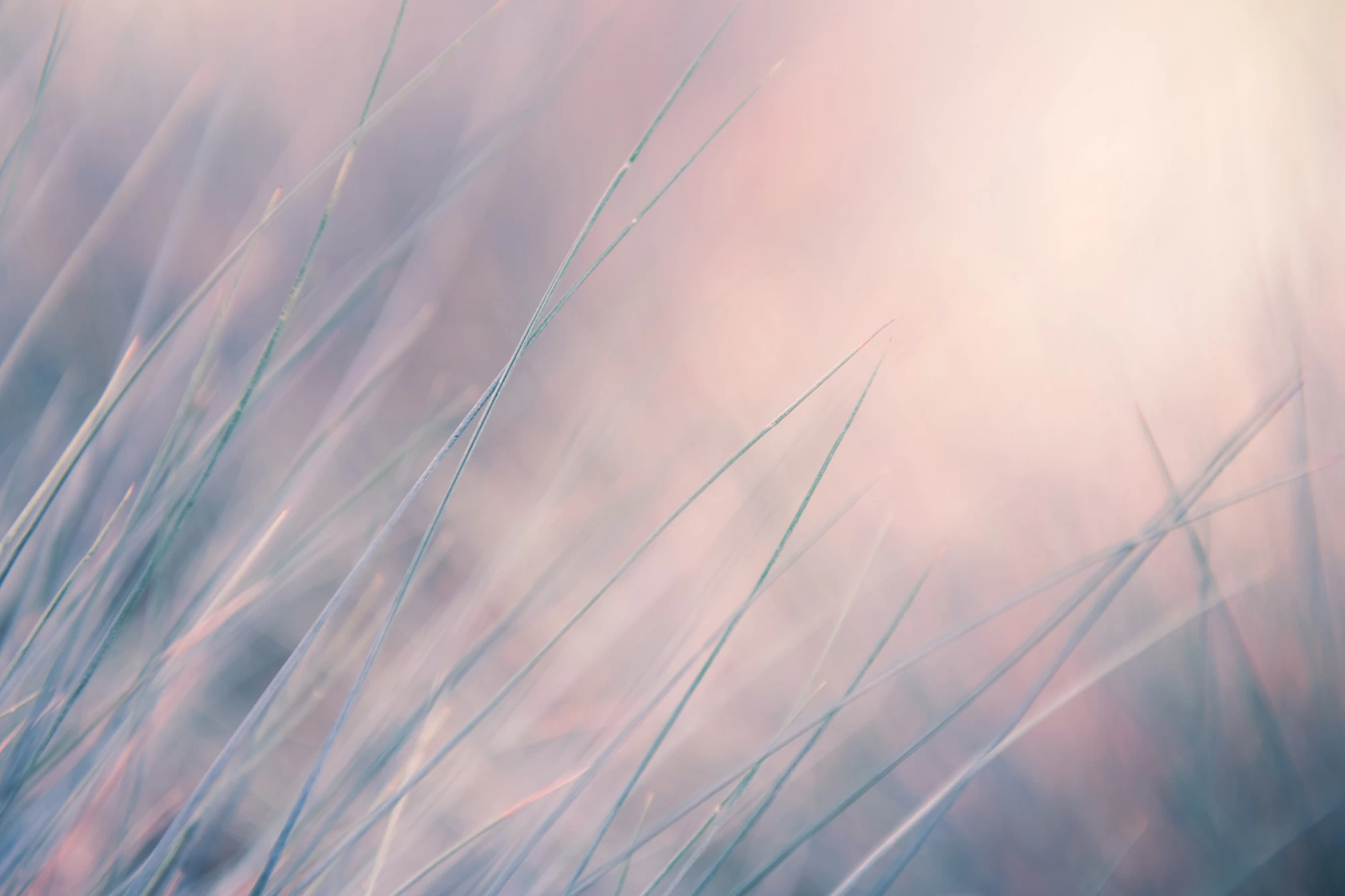 Client Testimonials Yesterday I was clever, so I wanted to change the world. Today I am wise, so I am changing myself. Rumi